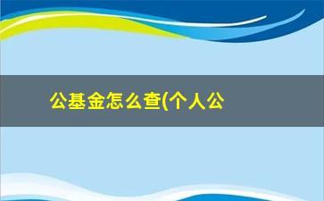 “公基金怎么查(个人公积金查询